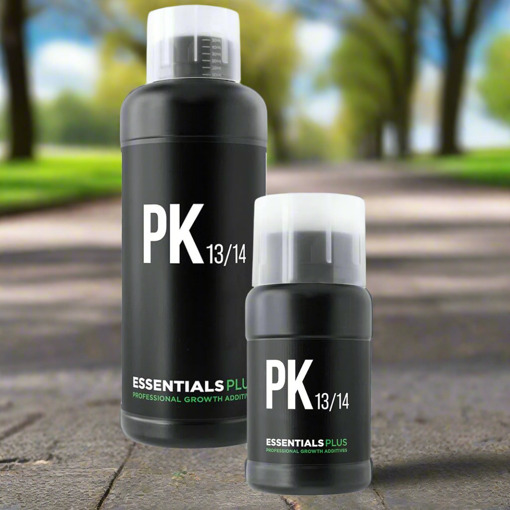 Essentials PK 13/14