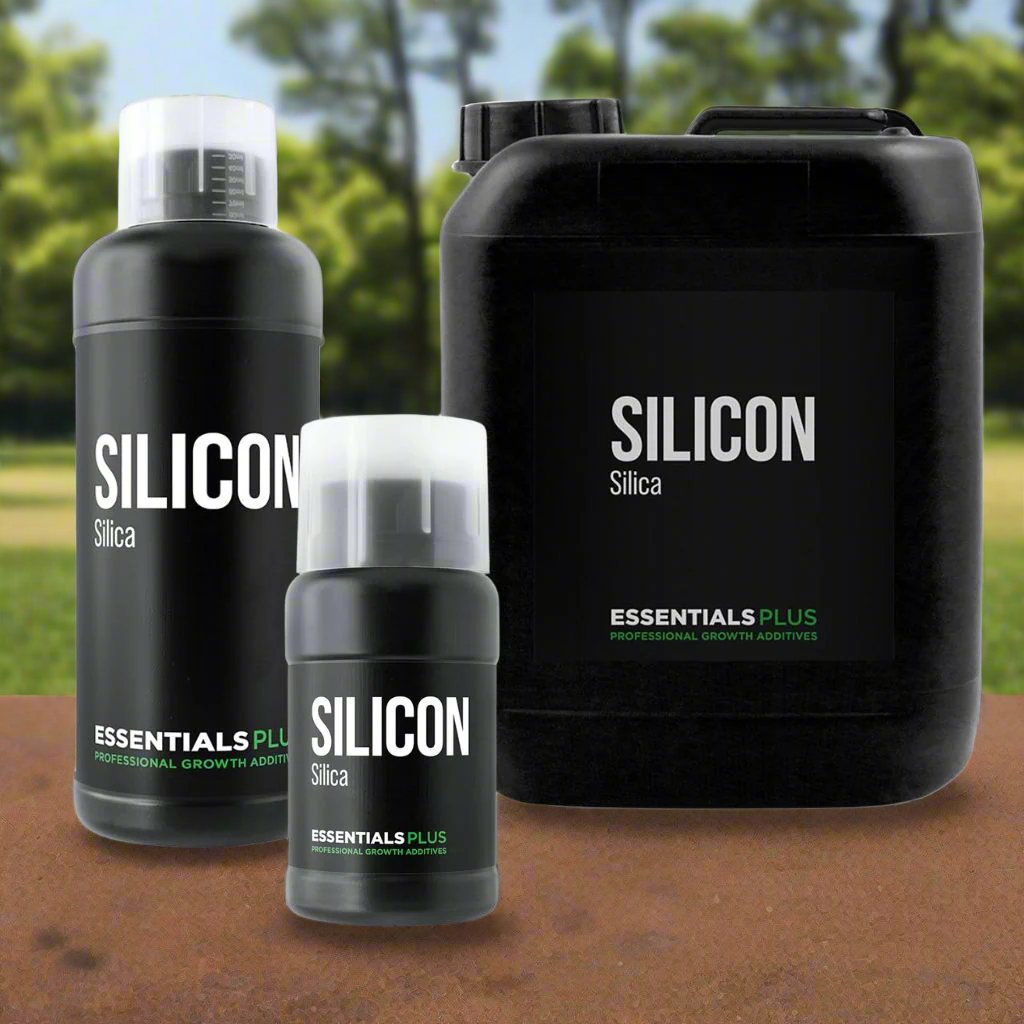 Essentials Silicon Plus