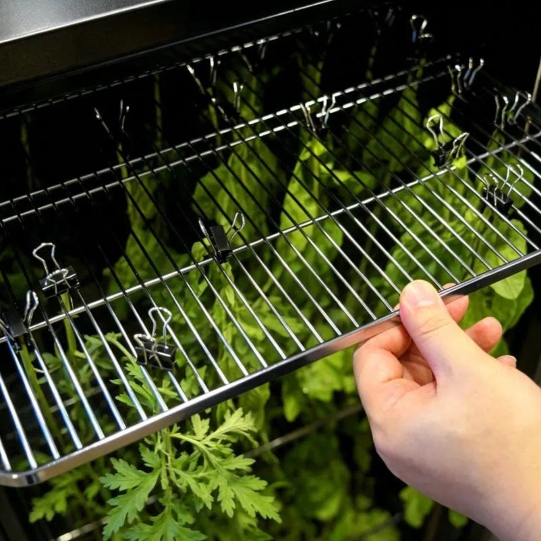 flavorwise drying and curing cabinet with herbs drying