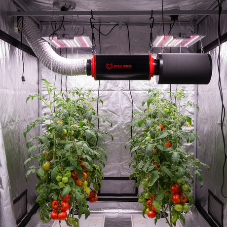 Fox Pro Silent EC Extraction Fan in Grow Room