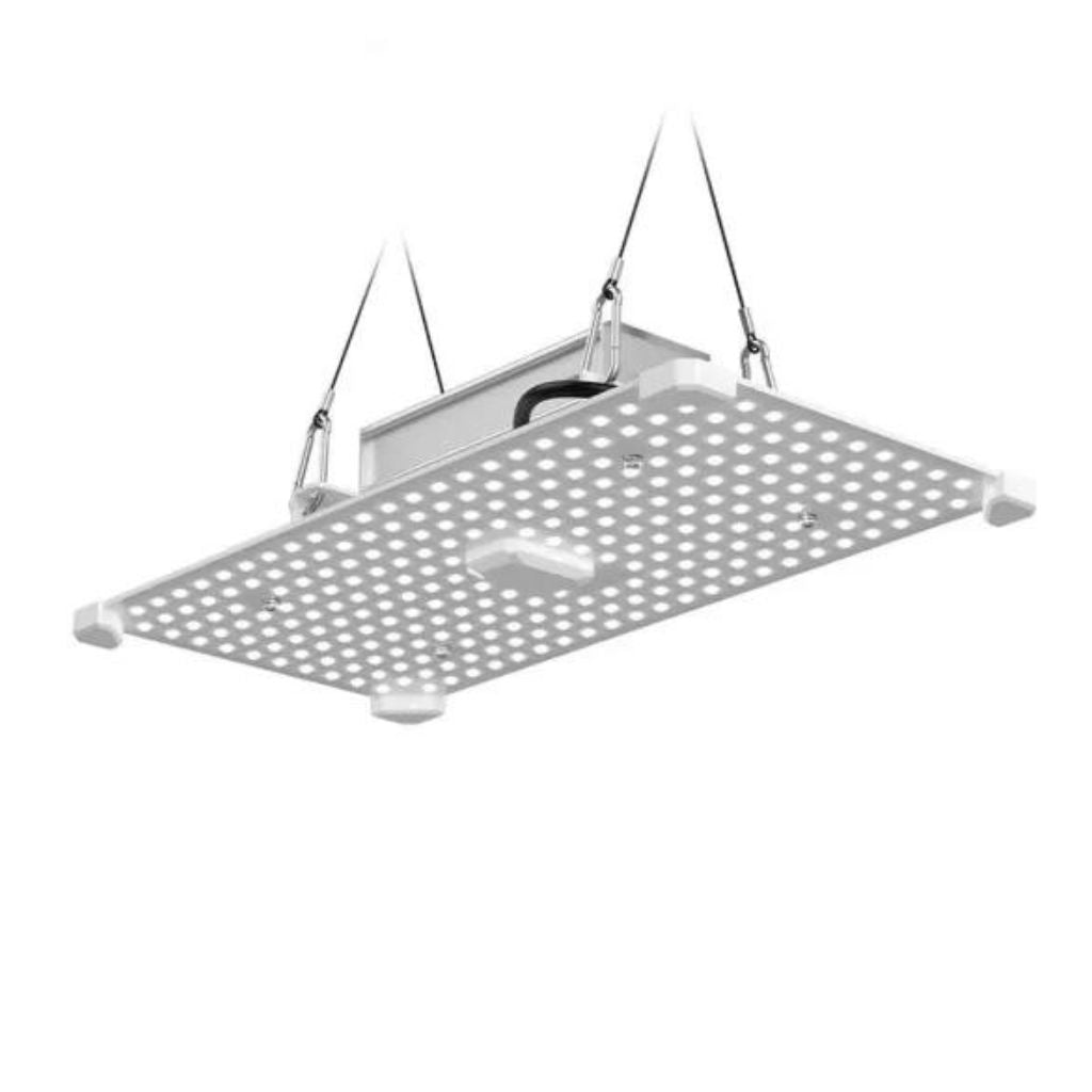 Lumii Black Blade 100w LED Grow Light