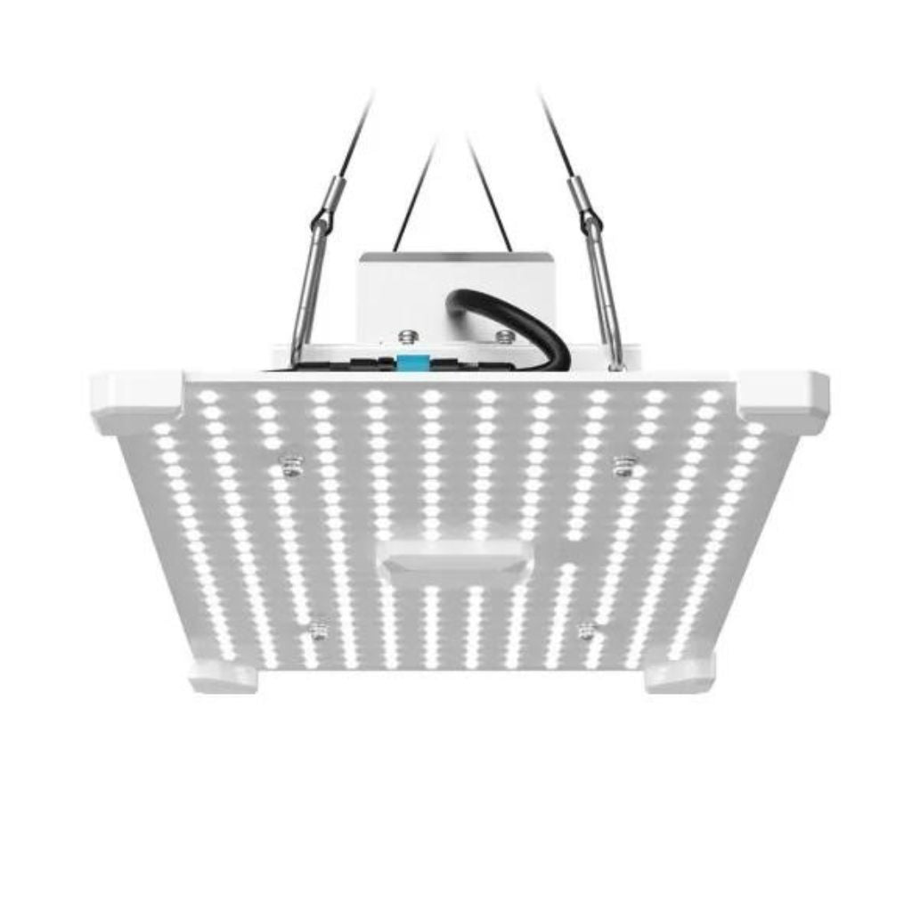 Lumii Black Blade 100w LED Grow Light