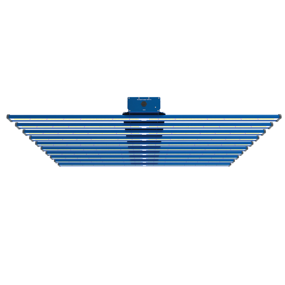 maxibright daylight 1030w 3.1