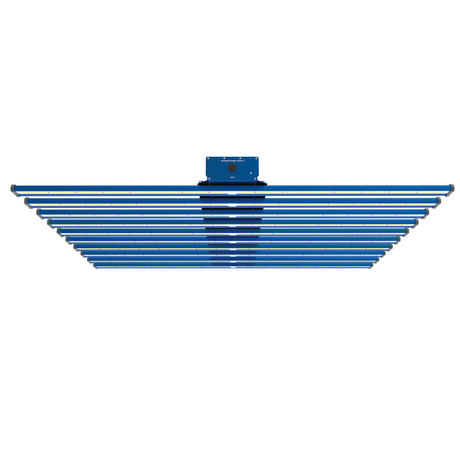 maxibright daylight 1030w 3.1