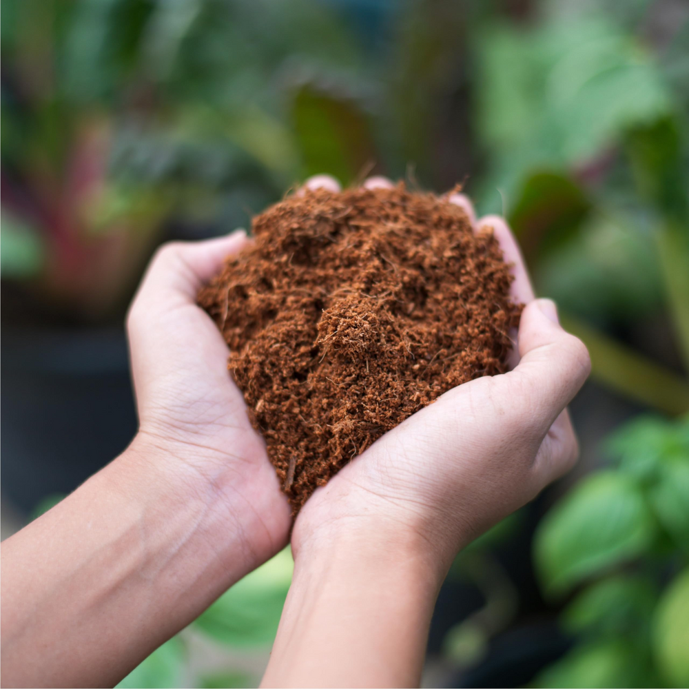 Nutrifield Coco Mega Brick 5kg
