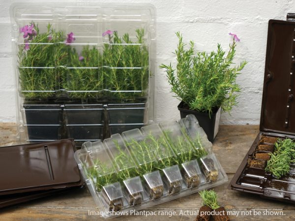 Clone & Plant Shippers - Small Parcel Size