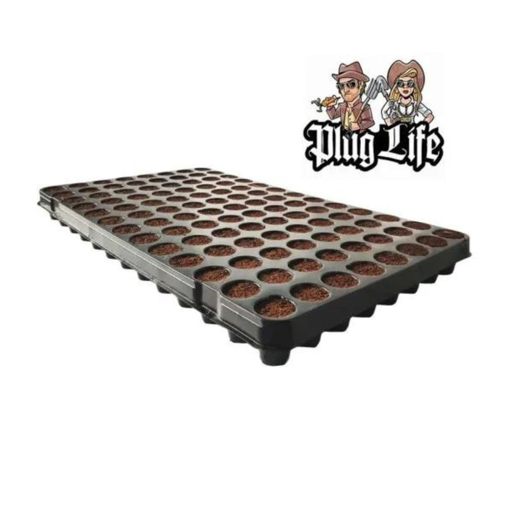 Plug Life Coco Propagation Clone 104 Tray