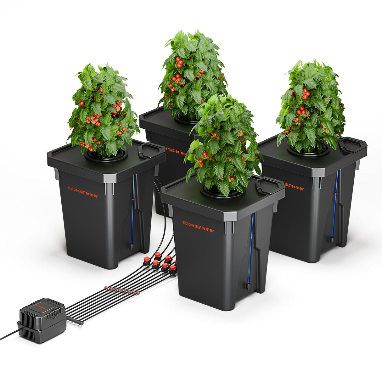Set of black DWC buckets with plants and a pump on a white background