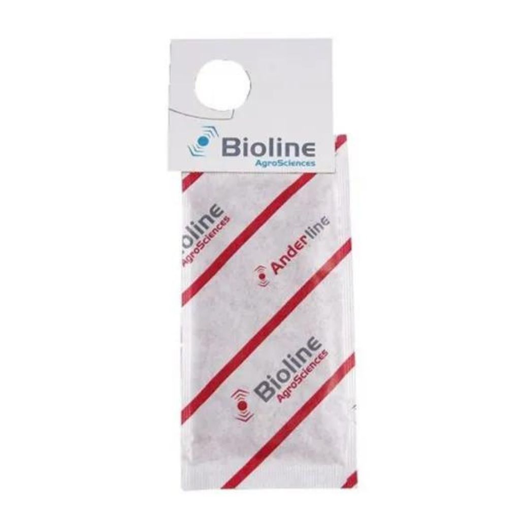 Spider Mite Predators Single 100 Sachets x Box of 200