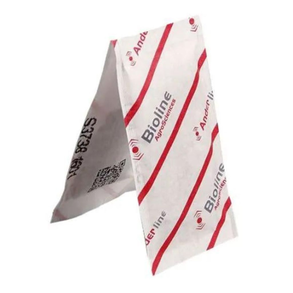 Spider Mite Predators Double 100 Sachets x Box of 200