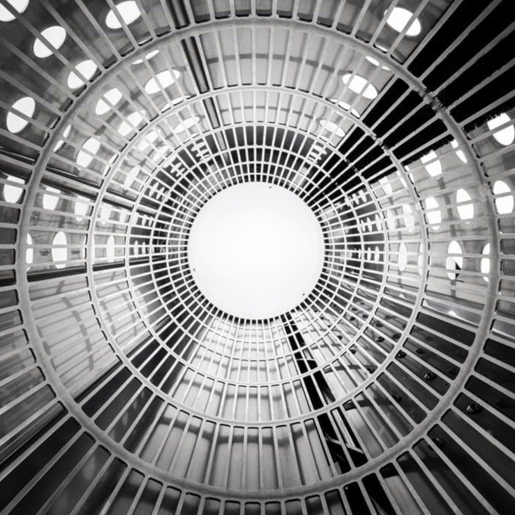 Sunflower Automatic Trimmer XL 2.0