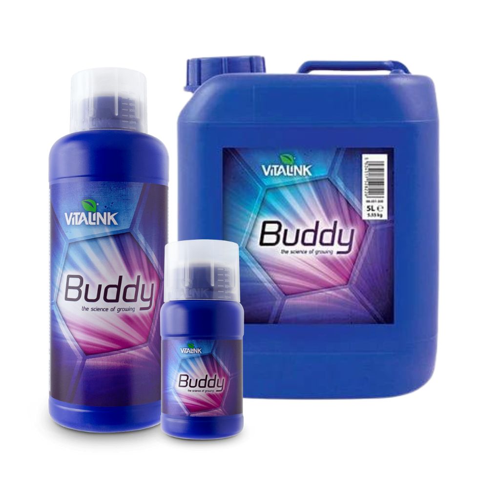 VitaLink Buddy