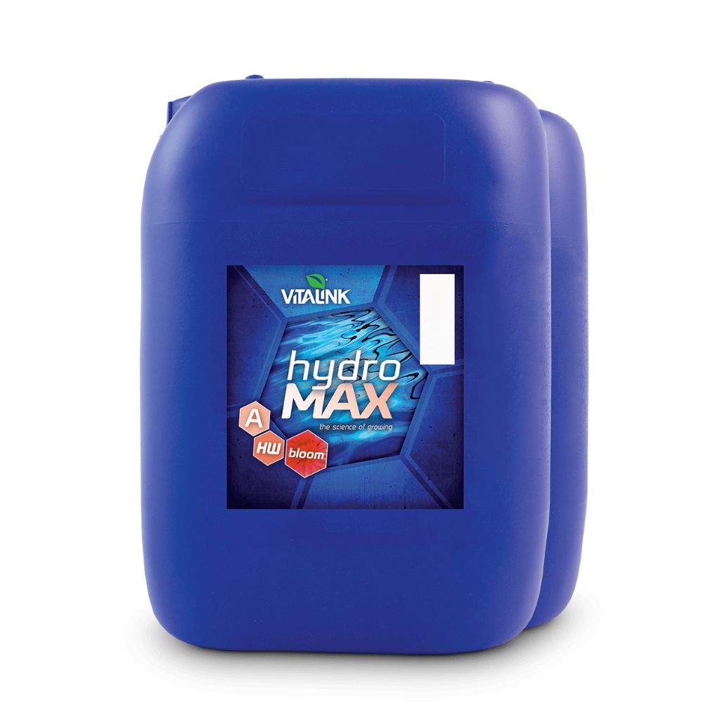 VitaLink Hydro Max Bloom