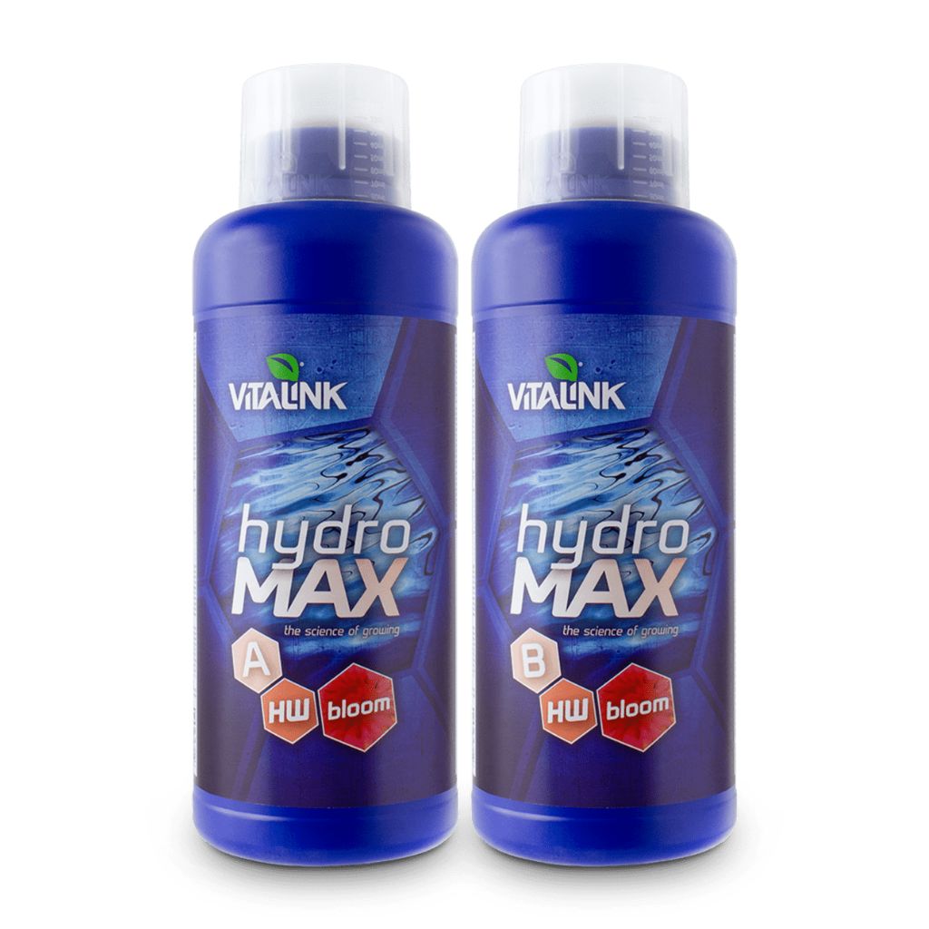 VitaLink Hydro Max Bloom