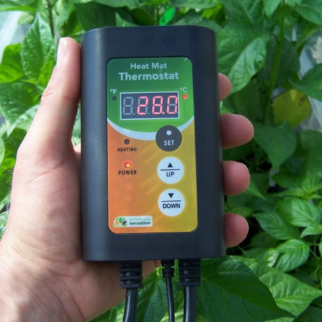 Vitopod Propagator thermostat