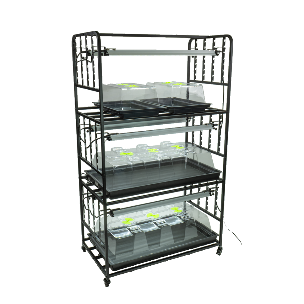 X-Stream Propagation Racking