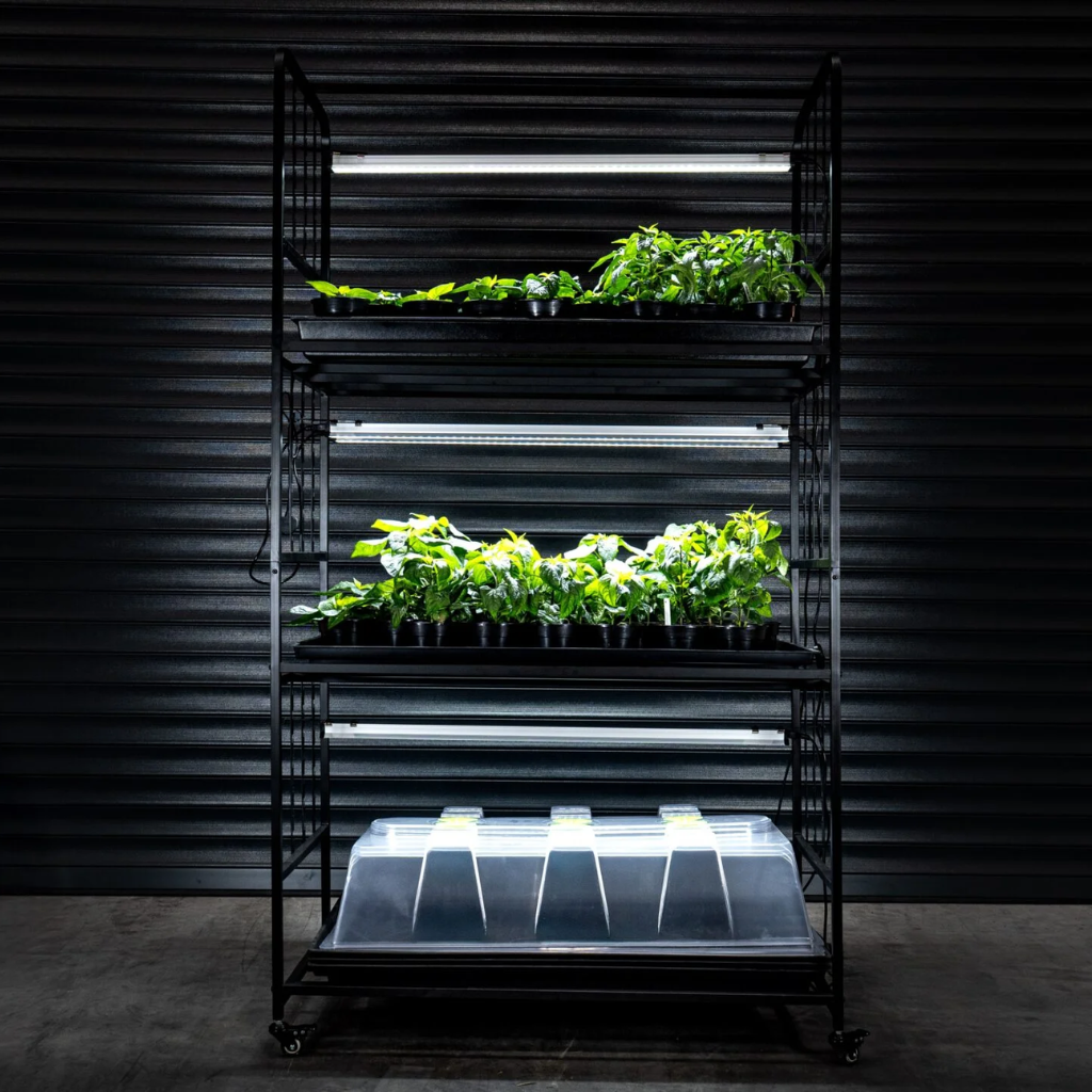 X-Stream Propagation Racking