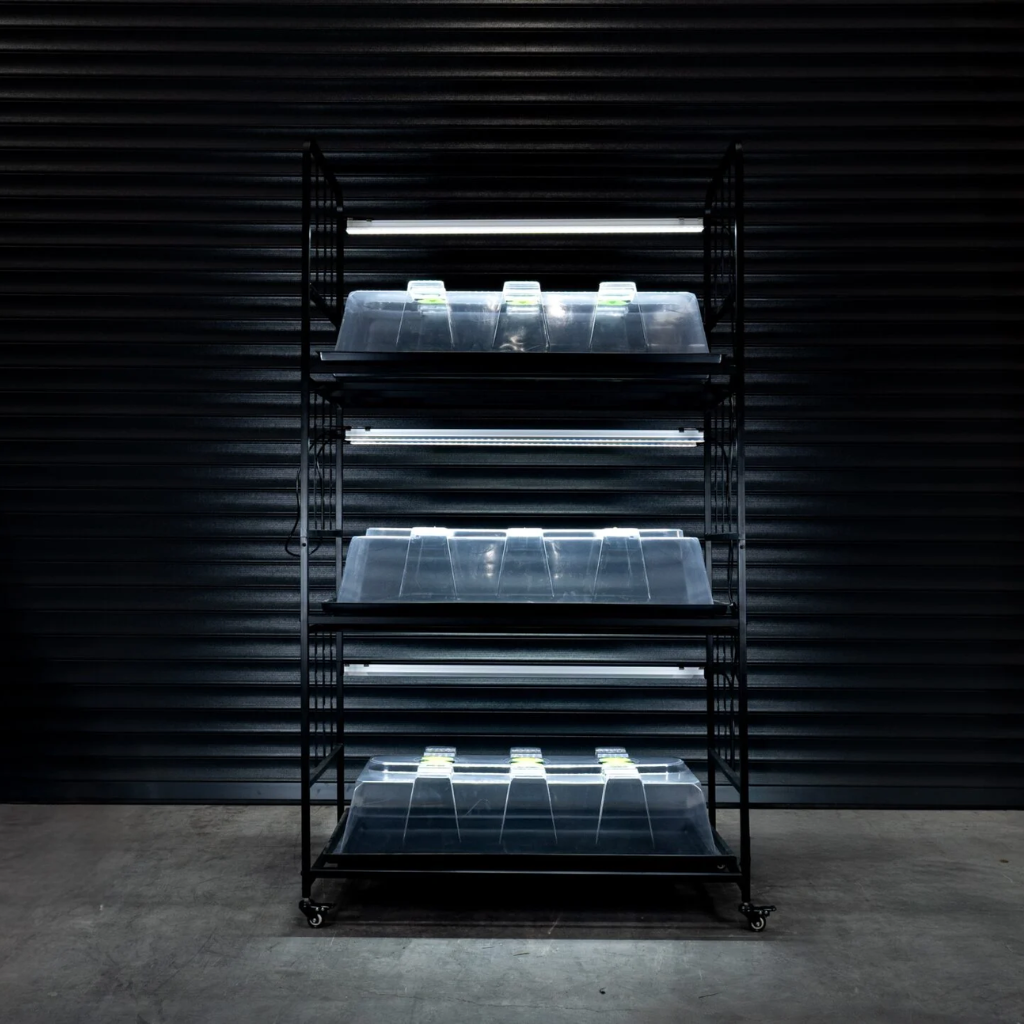 X-Stream Propagation Racking