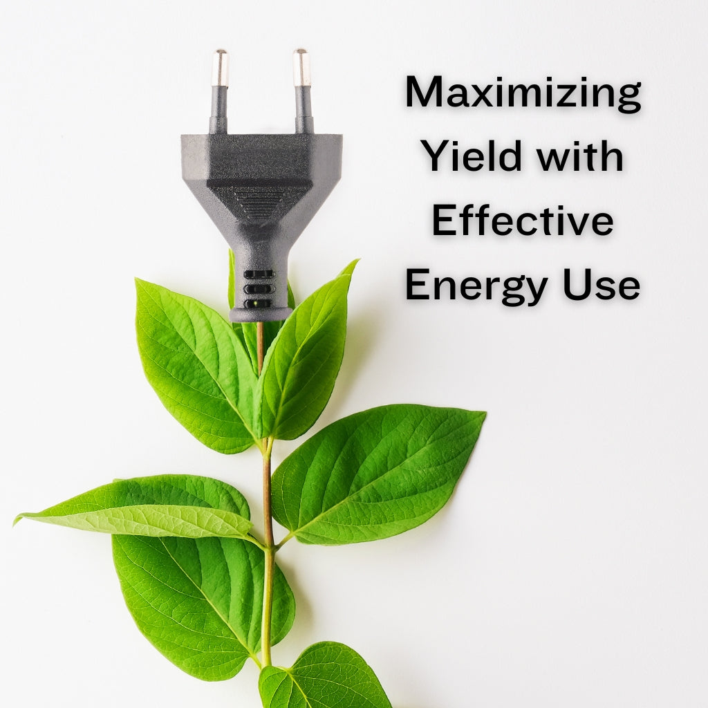 Maximizing Yield with Effective Energy use