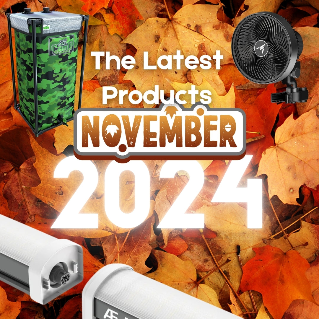 Latest Products for November 2024