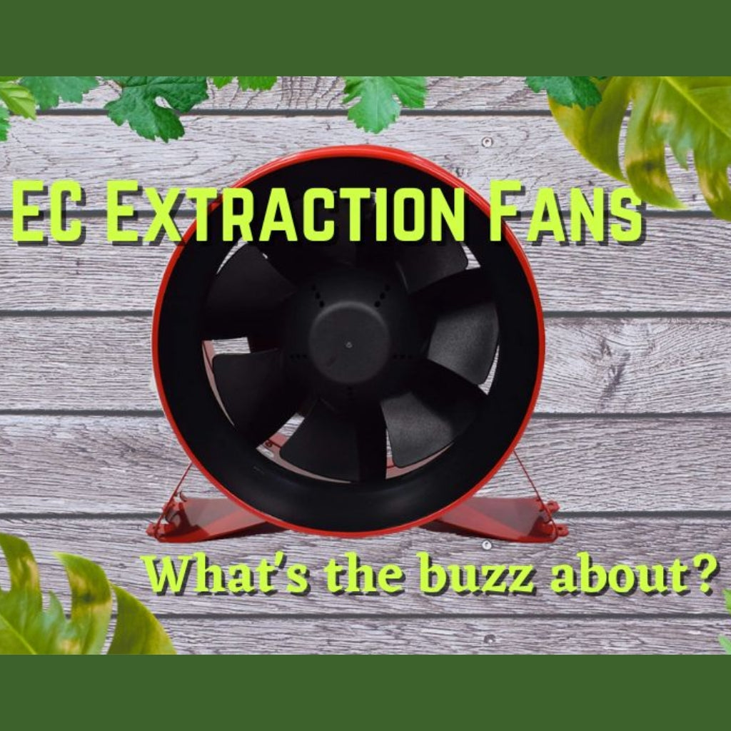 EC Extraction Fans - What's all the Buzz About?