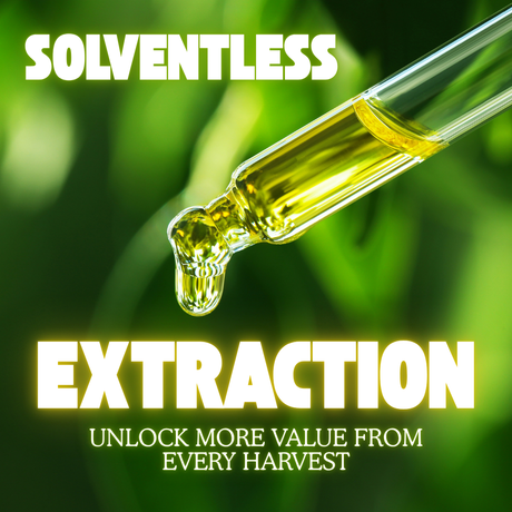 Best Solventless Extraction Machines, Bubble Bags & Rosin Presses for 2026