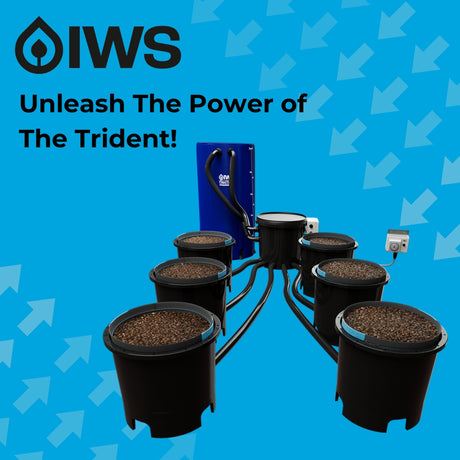 Unleash The Power of The Trident!