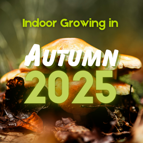 Indoor Growing in Autumn: Protect Your Crop from Seasonal Challenges