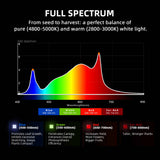 Spidefarmer G3000 LED grow light spectrum diagram with color bands and text on a black background