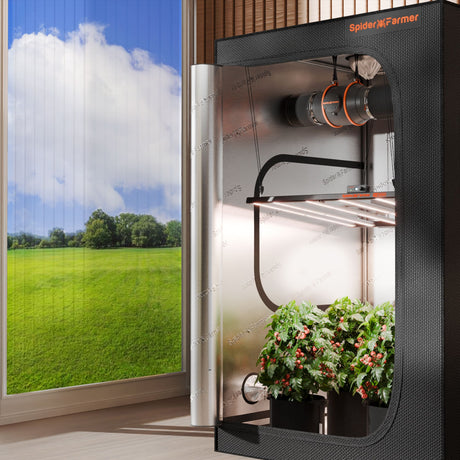 Spider Farmer G5000 480w LED Grow Light indoor gardening system with plants inside, window showing green field and blue sky outside