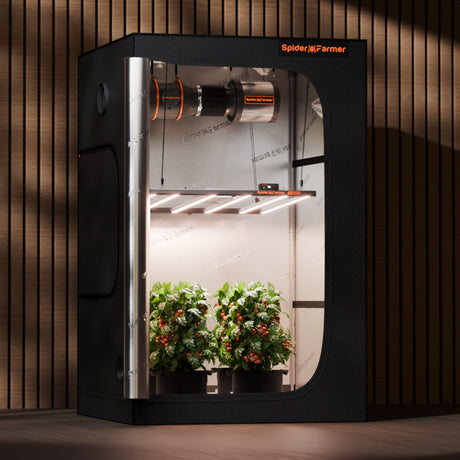 Spider Farmer G5000 480w LED Grow Light Gardening device with plants inside, branded 'Spider Farmer', against a wooden background.