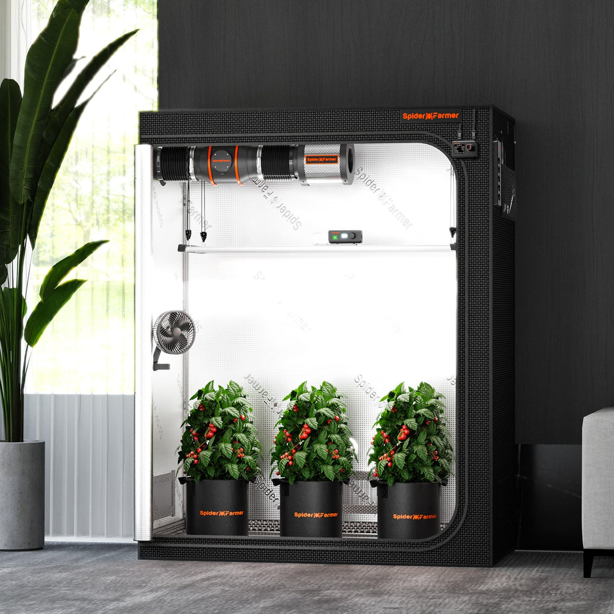 Smart indoor gardening system with plants inside a black frame.