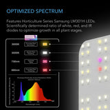 AC Infinity Ionboard S33 240w LED Grow Light