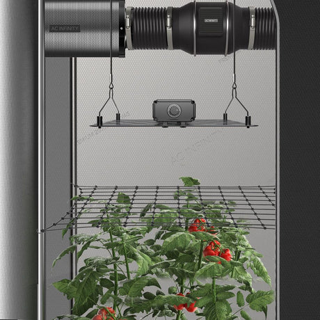 AC Infinity Trellis Scrog Net - All Sizes