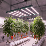 Adjusta-Watt Intec LED Grow Light 720w 2.7 µMol