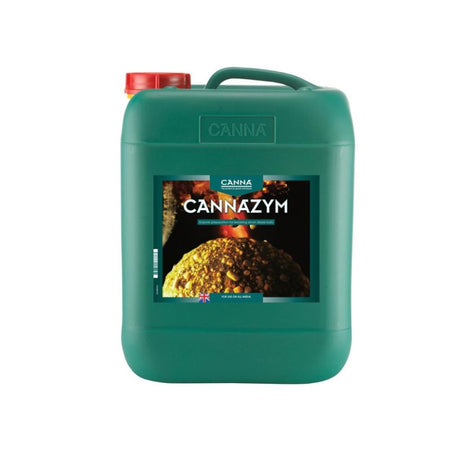 CAnnazym 10l