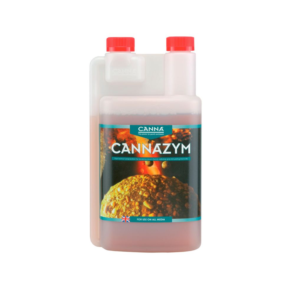 CAnnazym 1L