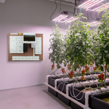 Contactor Board - 24/32 Way with Integrated Fuse Board