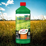 Dutchpro pH Down Grow 1ltr