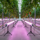 Elite 150W Under Canopy LED