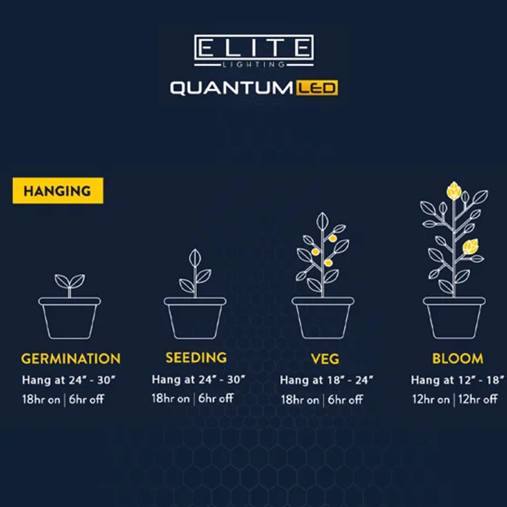 Elite Quantum EQ2000 LED-Panels 240 W