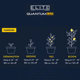 Elite Quantum EQ2000 LED-Panels 240 W