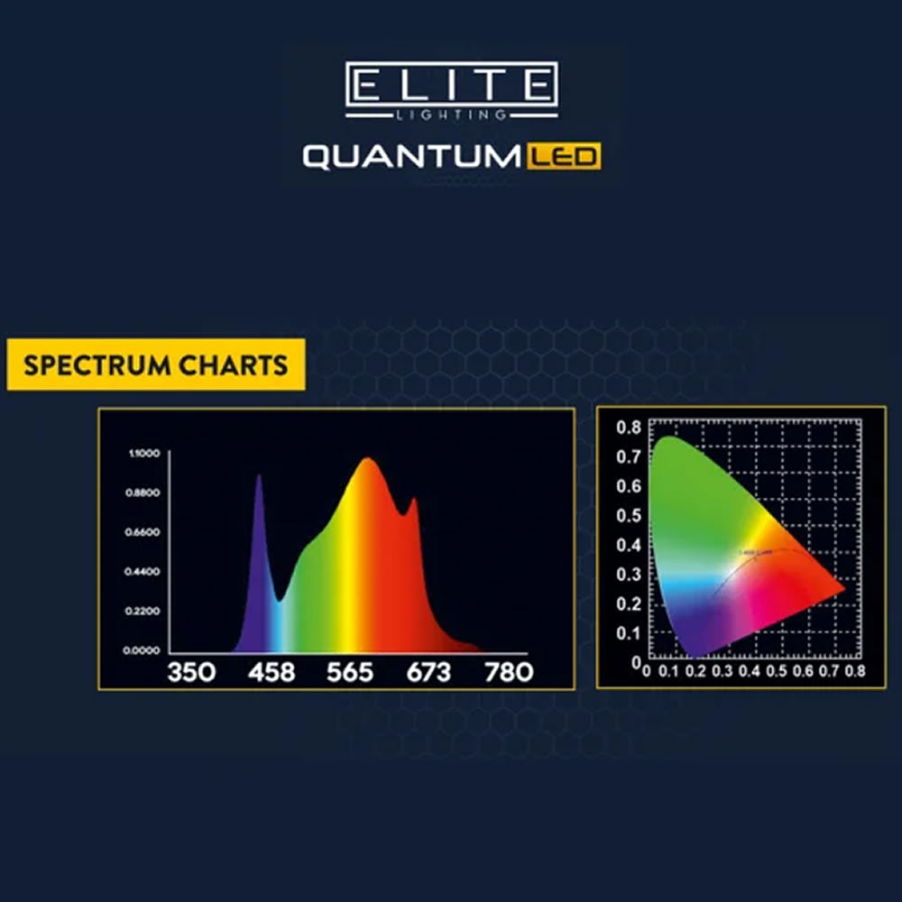 Elite Quantum EQ2000 LED-Panels 240 W