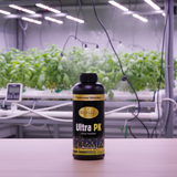Gold Label Ultra PK Flower Stimulator