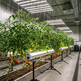 gorilla under canopy 125w LED grow light bar full spectrum with stands tomato