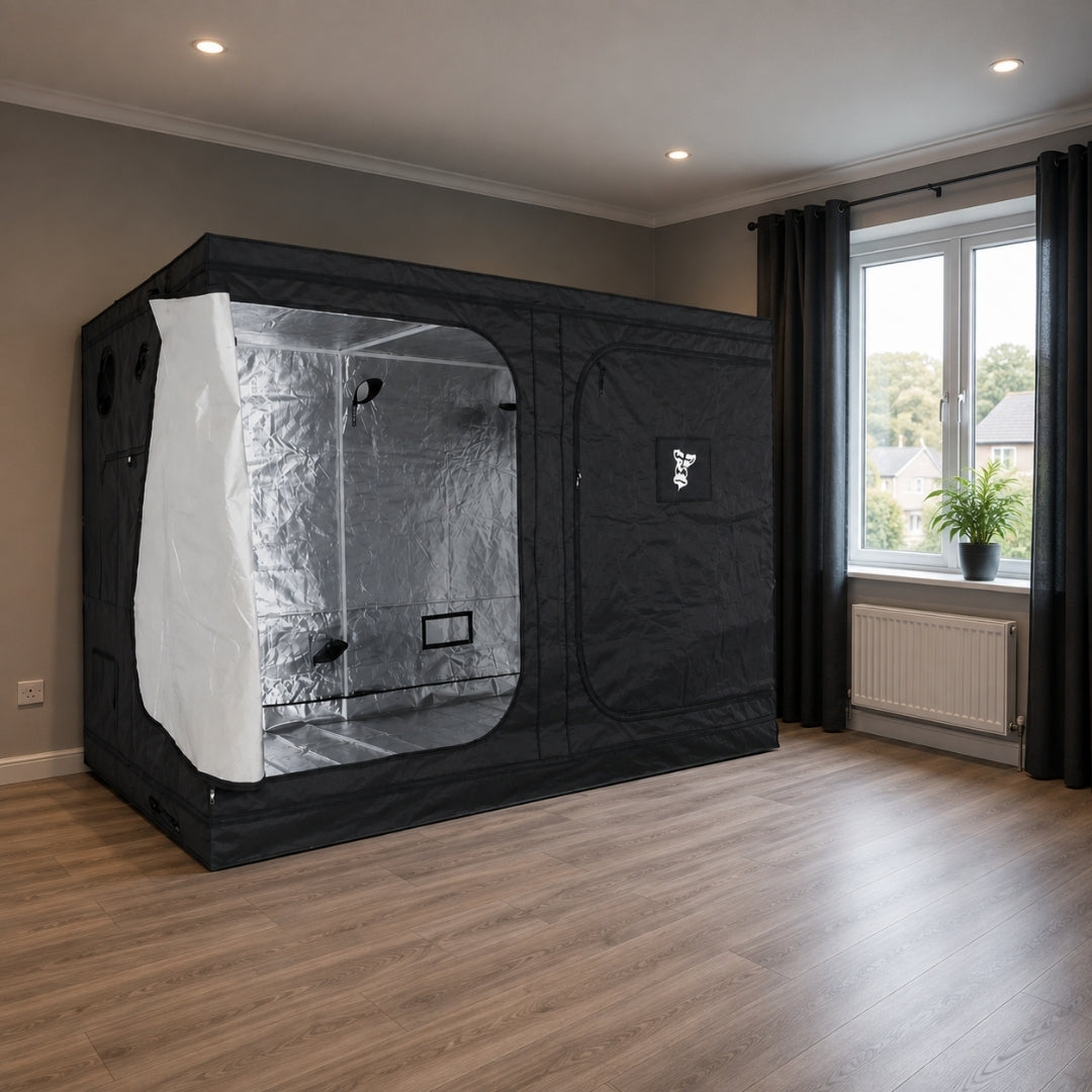 A black GorillaBox Deluxe grow tent measuring 5m-4m-2.2m with a reflective silver interior and a open front panel, set up in a bed room with wood floors and a window.