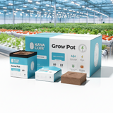 Kaya Coir 10" Grow Pot 11.35lt (3 gallon) | Box of 12