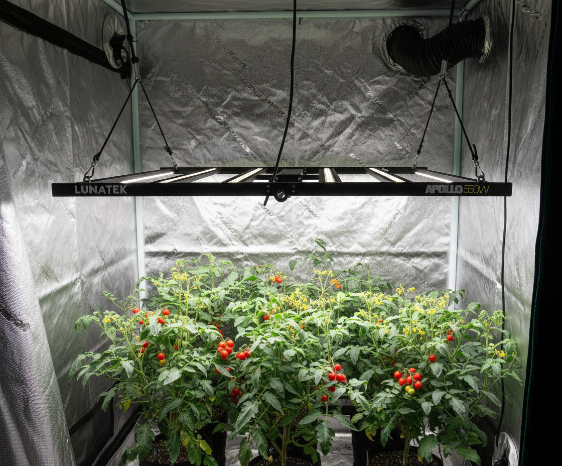 Lumatek APOLLO 550W LED Grow Light