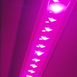 Lumatek 100w GH Interlight (Red + Blue) LED Grow Light