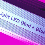 Lumatek 1050w GH Top Light (Red + Blue) LED Grow Light